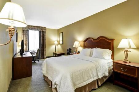 Hampton Inn Charleston-Historic District - 44