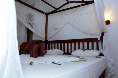 Asha Beach & Spa - 3
