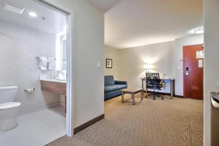 Comfort Inn & Suites South - 41