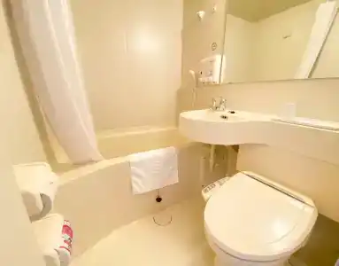 Toyoko Inn Hirosaki Ekimae - 85