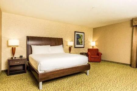 Hilton Garden Inn - 60