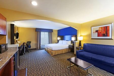 Holiday Inn Express & Suites Houston-Downtown Convention Center, An Ihg - 66