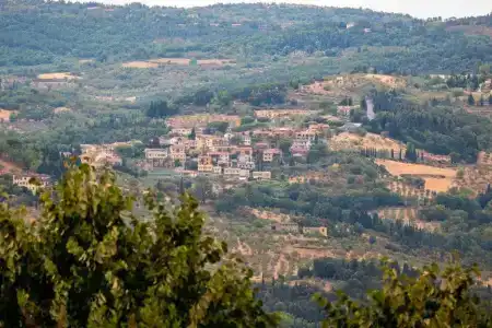Bonelli - 68