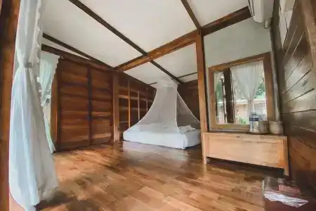 Jungle Koh - 57