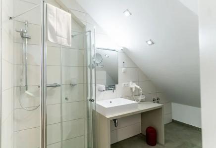 AltstadtGrauer Wolf - 30