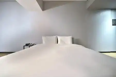 Hound - 100