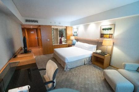 Melia Buenos Aires - 76