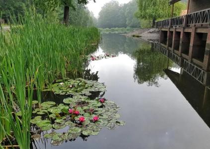 Stacja Nowa Gdynia Bed & Breakfast - 28