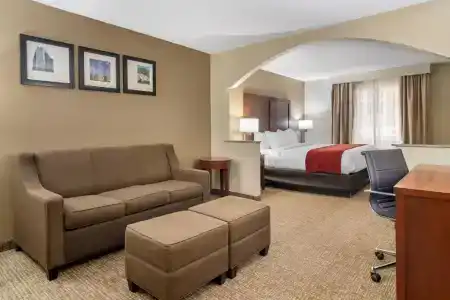 Comfort Inn & Suites North I-75 - 33