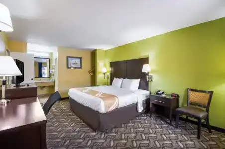 Quality Inn-Central Park Area - 84