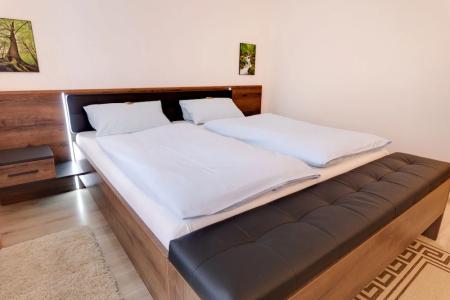 Pension Blüchersruh - 47