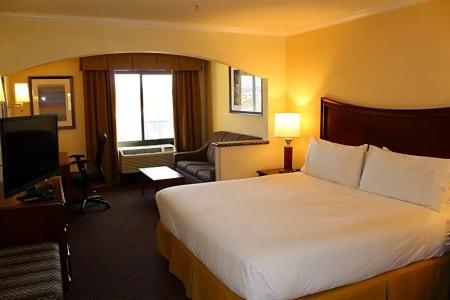 Holiday Inn Express & Suites Tucson Mall, An Ihg - 80