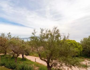 Iberostar Albufera Park - 139