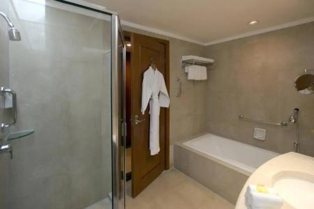 Sheraton Nanjing Kingsley & Towers - 142