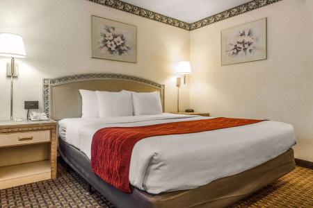 Stanford Motor Inn - 43