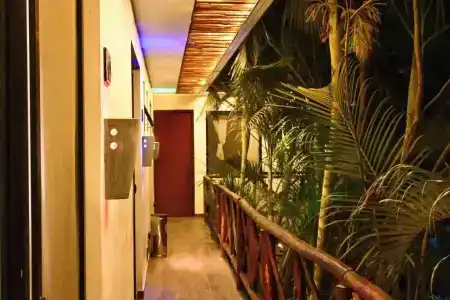 Pacha Tulum - 13