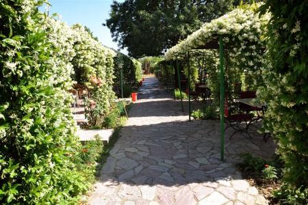 Buna Park - 4
