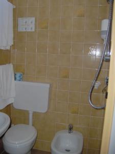 Cavalluccio Marino - 56