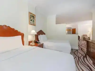 Le Royal Meridien Chennai - 114