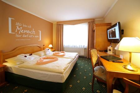 Tri- Wellnessam Schweizer Wald - 1