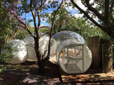 Bubble Bois Chéri - 17