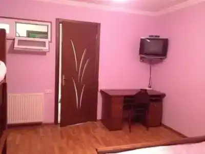 Borjomi Park Guest House - 5