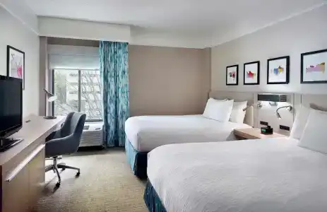 Hilton Garden Inn Atlanta-Buckhead - 38