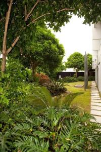Rocklea International - 9