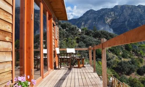 Kabak Avalon Bungalows - 16