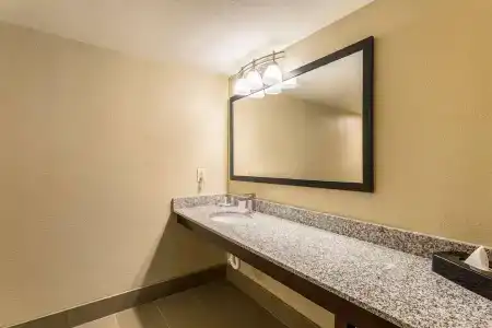 Comfort Inn & Suites Downtown - 8