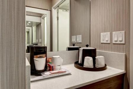 Hampton Inn & Suites by Hilton-Airport - 37