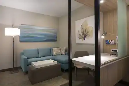 SpringHill Suites by Marriott - 59
