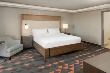 Holiday Inn - Portland - Columbia Riverfront, an IHG - 116