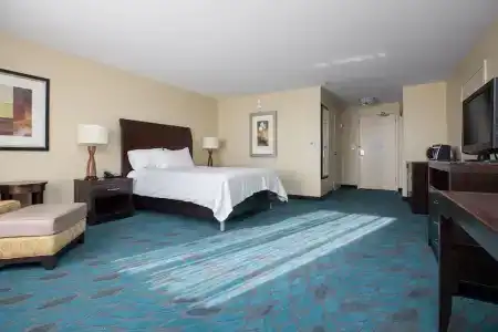 Hilton Garden Inn - 77