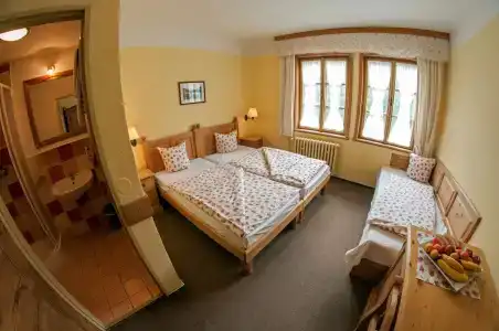 Alpský - 4