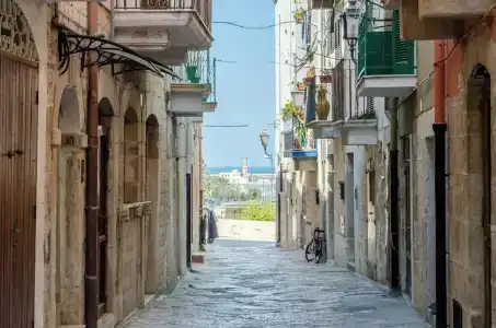 Domatia - 31