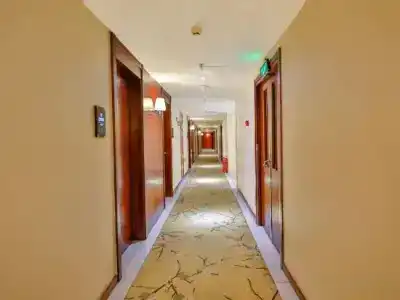 Beijing Laurel - 4
