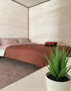 Lucky House - 9