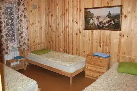 Волчица - 5