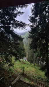 Ayder Doga Resort - 234