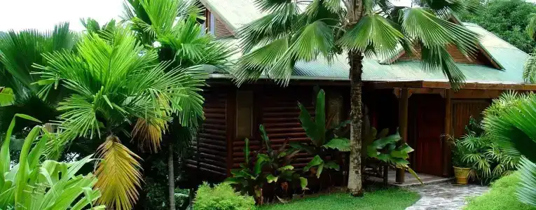 Le Jardin Des Palmes - 9