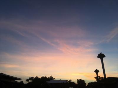 Pak Dee Resort - 15