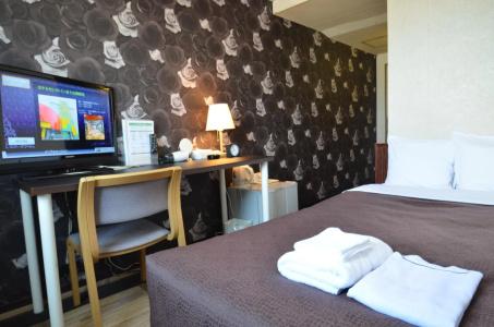 Select Inn Fujisan Gotemba - 52