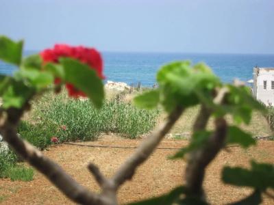 Yiannis - 14