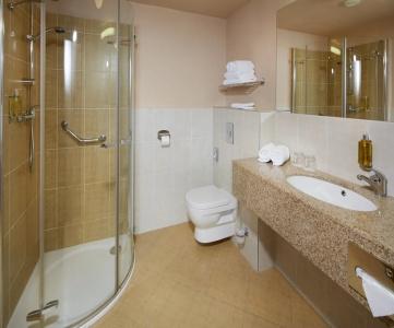 Orea Resort Sklář Harrachov - 29