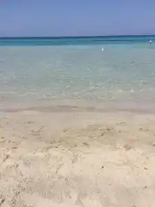 Terra e colori - 8