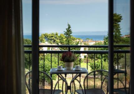 Ampelia Studios - 6