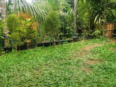 Ella Flower Garden Resort - 18