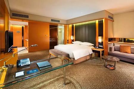 Hilton Nanjing Riverside - 70