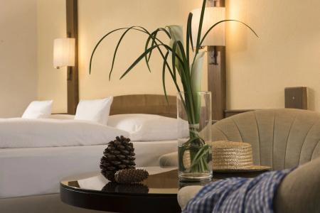 Maritim Titisee - 4
